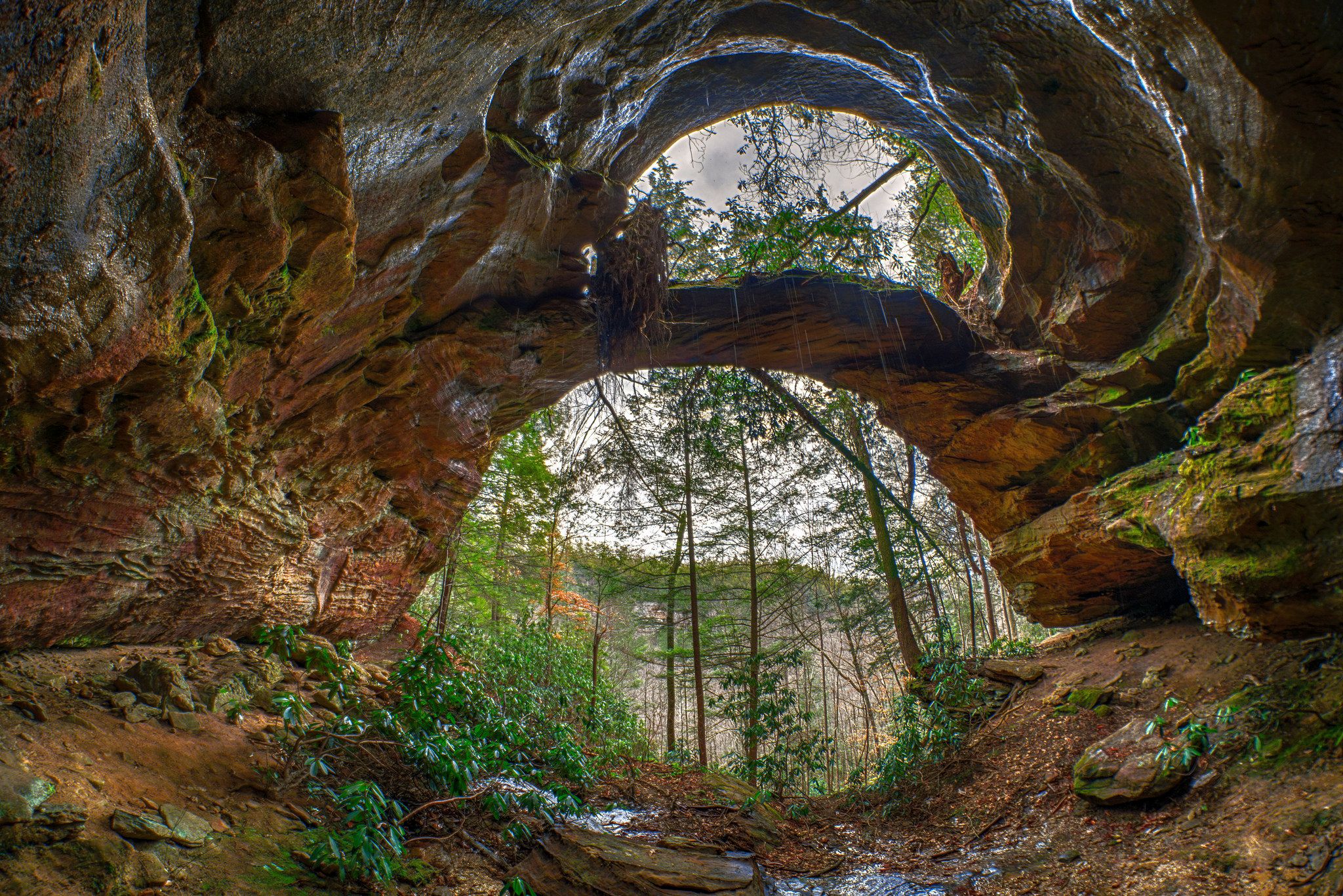 Red River Gorge Cabin Rentals