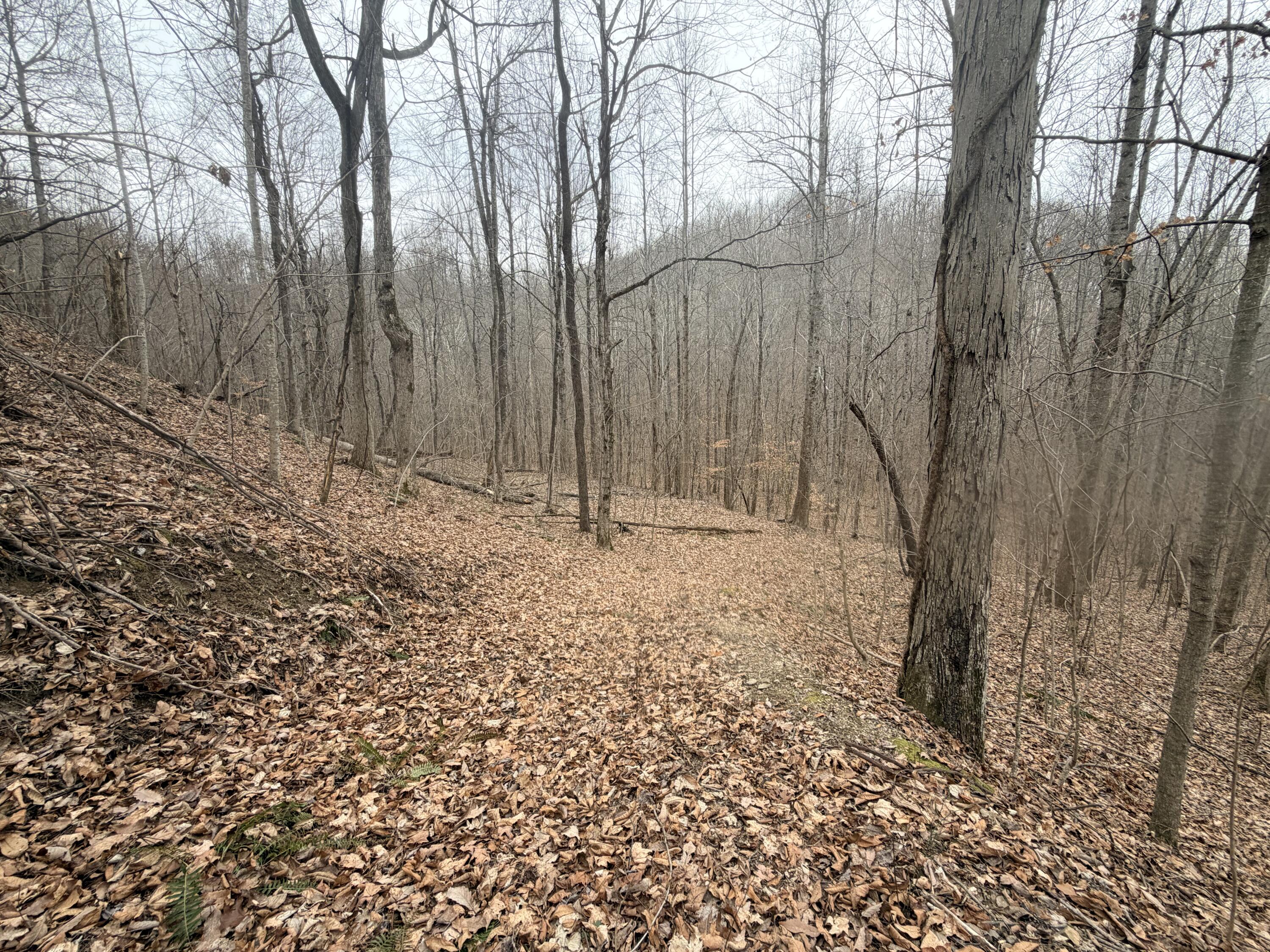 Stanford-Lincoln Co Tourism